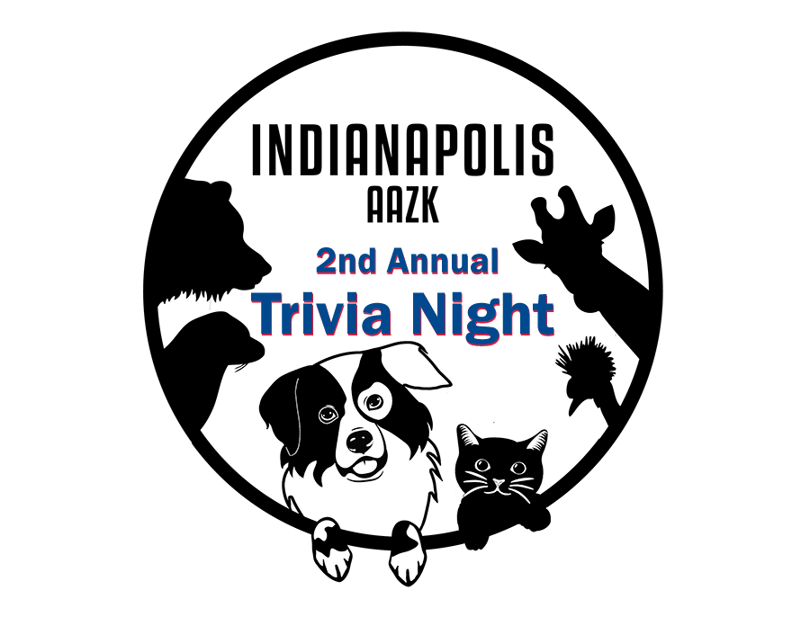 Trivia Logo for webpage small